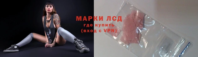 ГАЛЛЮЦИНОГЕННЫЕ ГРИБЫ Алзамай