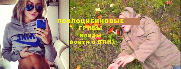 ГАЛЛЮЦИНОГЕННЫЕ ГРИБЫ Алзамай