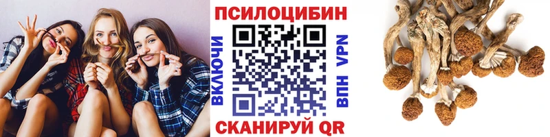 Галлюциногенные грибы Magic Shrooms  Ардатов 
